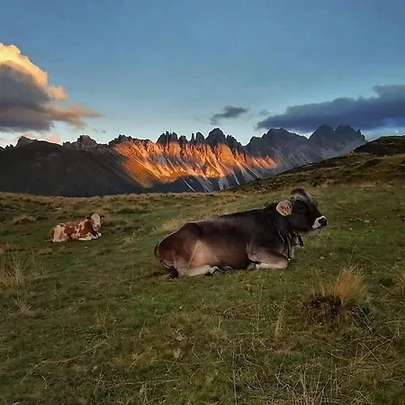 Sofi - Enjoy The View - Axams,innsbruck Tirol Апартаменты *