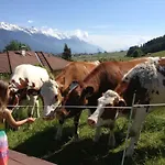 Sofi - Enjoy The View - Axams,innsbruck Tirol Innsbruck